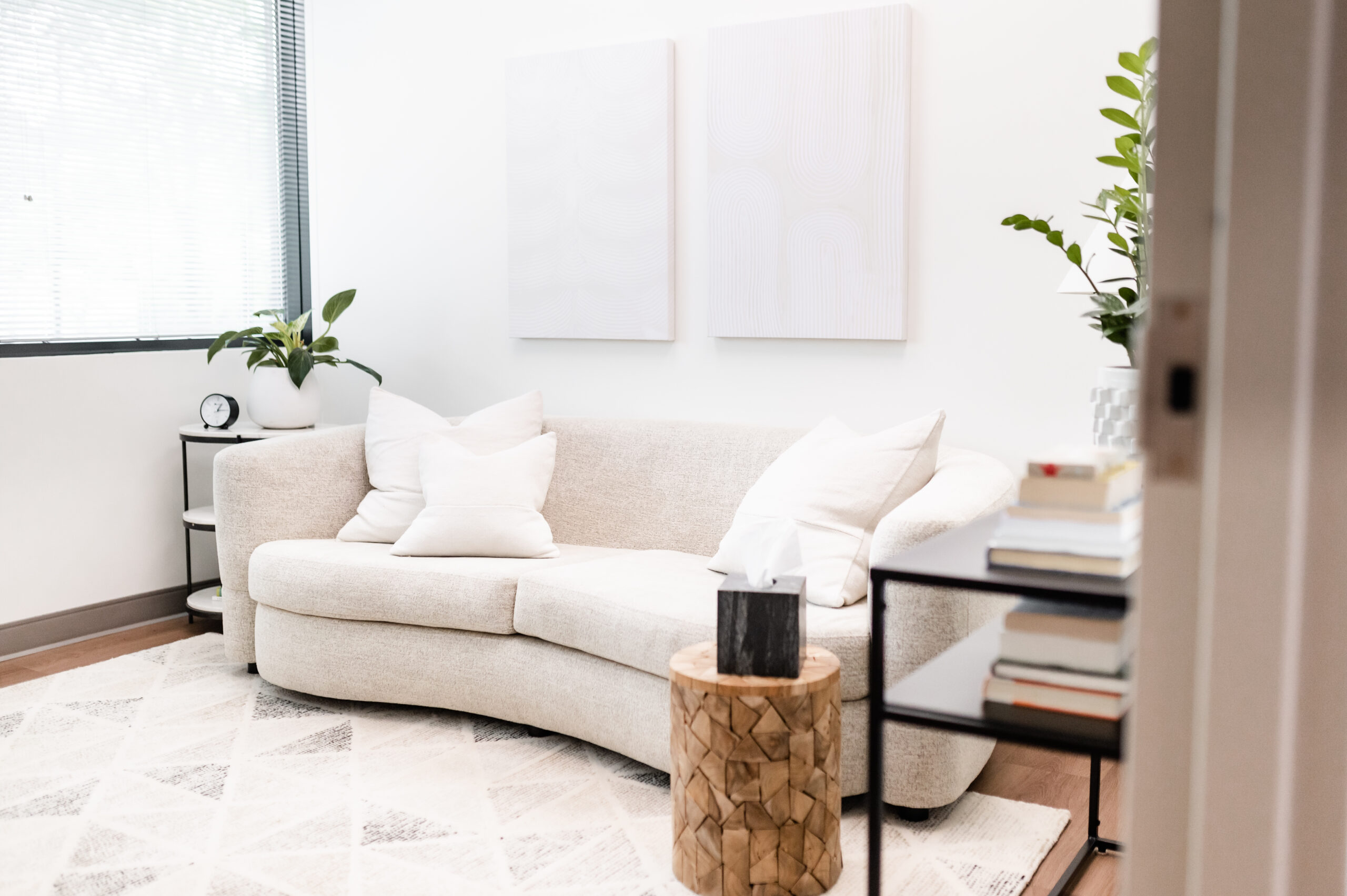 Counseling Practice | Georgia Therapy Room